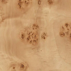 Parallel 63.25 Inch 150 Watt Natural Burl Wood Floor Lamp Portable Light -Lighting Store 1parall flna 3