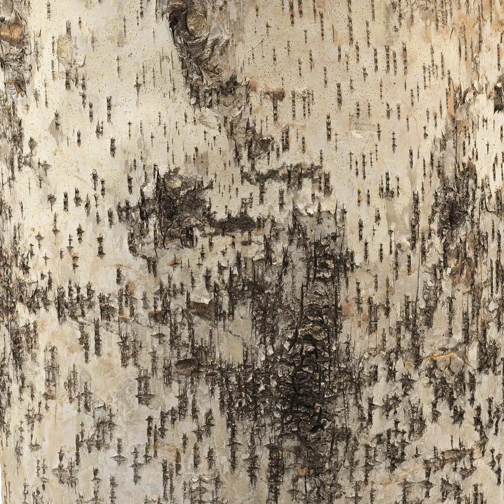 Forrester 26 Inch 150.00 Watt Birch Veneer Table Lamp Portable Light 4 Forrester 26 Inch 150.00 Watt Birch Veneer Table Lamp Portable Light - Image 2